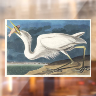 Autocollant Pour Fenêtre Illustration vintage d'Audubon du Grand Héron Blan