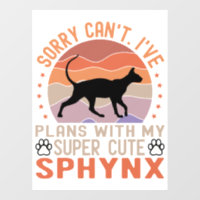 J'ai des plans avec mon chat Sphynx