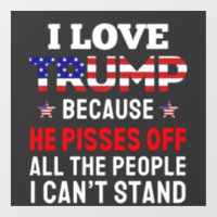"J'aime Trump parce qu'il fait chier tous les gens