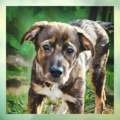 Autocollant Pour Fenêtre Joli mélange Husky Puppy Clouage de la fenêtre (Feuille 3)