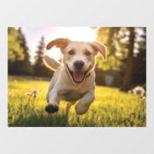 Autocollant Pour Fenêtre Joyeux Labrador Puppy Running (Feuille)