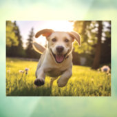 Autocollant Pour Fenêtre Joyeux Labrador Puppy Running (Feuille 3)