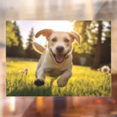 Autocollant Pour Fenêtre Joyeux Labrador Puppy Running (Feuille 2)