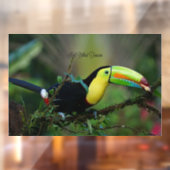 Autocollant Pour Fenêtre Keel Billed Toucan (Feuille 2)