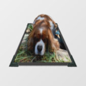 Autocollant Pour Fenêtre King Charles Cavalier Spaniel, Clôture de fenêtre (Feuille)