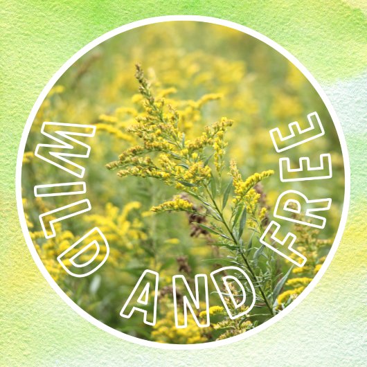 Autocollant Pour Fenêtre La confiance en soi des Fleurs sauvages sauvages e