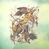 Autocollant Pour Fenêtre La perruque de Caroline d'Audubon (Feuille 3)