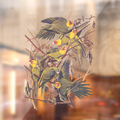 Autocollant Pour Fenêtre La perruque de Caroline d'Audubon (Feuille 2)