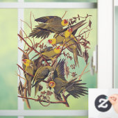 Autocollant Pour Fenêtre La perruque de Caroline d'Audubon (Maison)