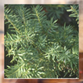 Autocollant Pour Fenêtre La pinède (Feuille 2)