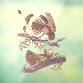 Autocollant Pour Fenêtre Le cauchemar de la veuve de Chuck Will avec serpen (Feuille 3)