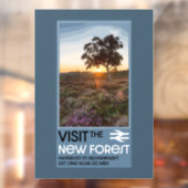 Autocollant Pour Fenêtre Le Hampshire de la forêt Angleterre (Feuille 2)