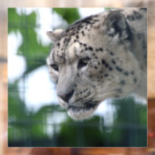 Autocollant Pour Fenêtre Leopard 003 (Feuille 2)
