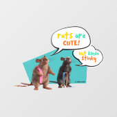 Autocollant Pour Fenêtre Les Rats Sont Mignons Mais Plutôt Stinky (Feuille)