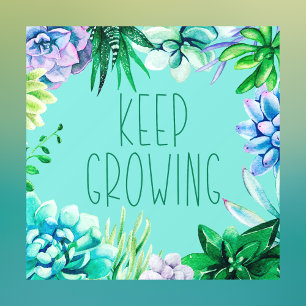 Autocollant Pour Fenêtre Les succulents continuent de grandir Aqua vert et 