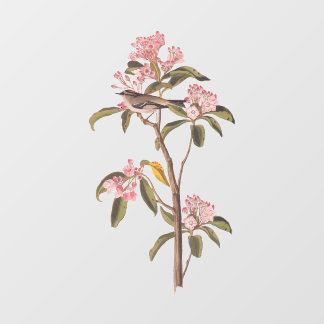 Autocollant Pour Fenêtre L'Oiseau de couvier d'Audubon sur Calico Rose
