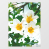 Autocollant Pour Fenêtre Lys blancs - Lilium Flower candidum (Feuille)