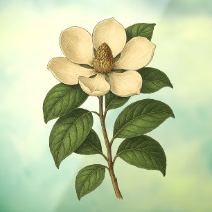 Autocollant Pour Fenêtre Magnolia Vintage