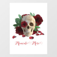 Memento Mori. Crâne aux roses rouges