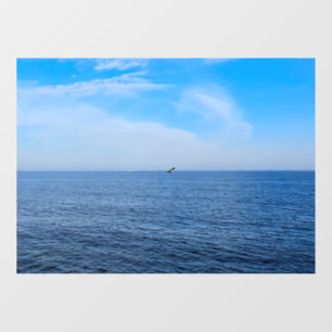 Autocollant Pour Fenêtre Mer Noire calme Roumanie – Impression de ciel bleu