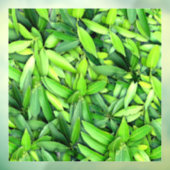 Autocollant Pour Fenêtre Motif Feuille verdoyant - Nature Botanique (Feuille 3)