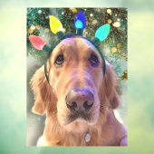 Autocollant Pour Fenêtre Nova The Golden Retriever Chien Noël (Feuille 3)