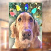 Autocollant Pour Fenêtre Nova The Golden Retriever Chien Noël (Feuille 2)
