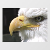 AUTOCOLLANT POUR FENÊTRE OISEAU D'AGLE (Feuille)