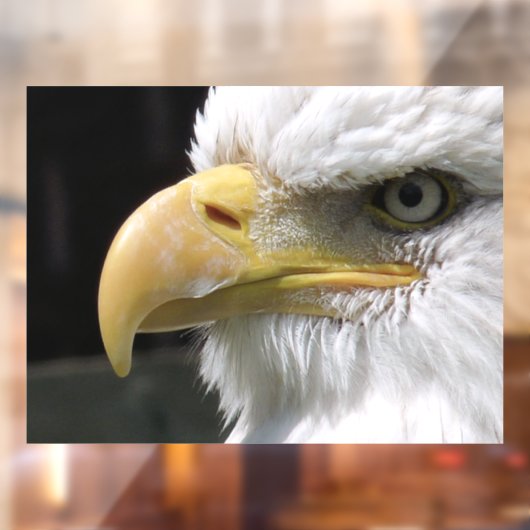 AUTOCOLLANT POUR FENÊTRE OISEAU D'AGLE (Feuille 2)