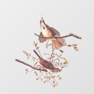 Autocollant Pour Fenêtre Oiseaux Audubon à long Bruant avec Araignée minusc