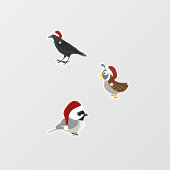 Autocollant Pour Fenêtre Oiseaux de Noël (Feuille)