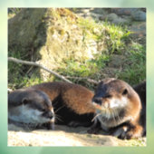 AUTOCOLLANT POUR FENÊTRE OTTERS (Feuille 3)