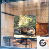 AUTOCOLLANT POUR FENÊTRE OTTERS (Fenêtre de café)
