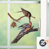 Autocollant Pour Fenêtre Paire Audubon de baiser des pigeons voyageurs (Maison)