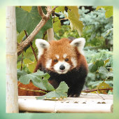 Autocollant Pour Fenêtre Panda rouge (Feuille 3)