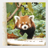 Autocollant Pour Fenêtre Panda rouge (Feuille)