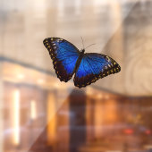 Autocollant Pour Fenêtre Papillon bleu Morpho  (Feuille 2)