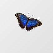 Autocollant Pour Fenêtre Papillon bleu Morpho  (Feuille)