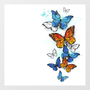 Autocollant Pour Fenêtre Papillons volants Morpho et Monarch