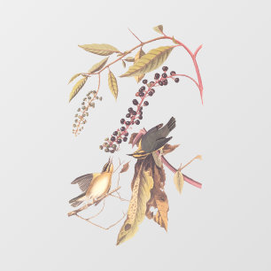 Autocollant Pour Fenêtre Paruline audubon, oiseau-chanteur de Worm-Eating