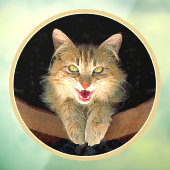 Autocollant Pour Fenêtre Peinture de chat Mad - Cute Original Cat Art (Feuille 3)