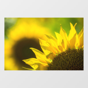 Autocollant pour fenêtre - Photographie de la natu