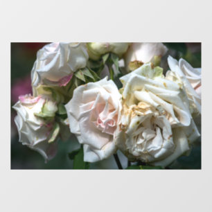 Autocollant pour fenêtre - Photographie de roses b