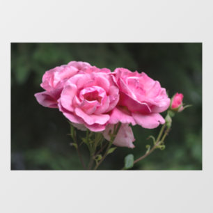 Autocollant pour fenêtre - Photographie de roses r