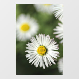 Autocollant pour fenêtre - Photographie florale de