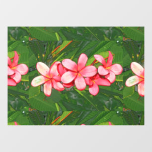 Autocollant Pour Fenêtre plumérie