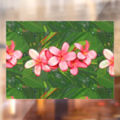 Autocollant Pour Fenêtre plumérie (Feuille 2)