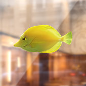 Autocollant Pour Fenêtre Poisson Tropical Jaune (Feuille 2)