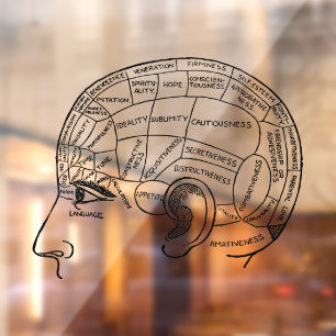 Autocollant Pour Fenêtre Psychologie vintage phréologie psychiatrie cerveau