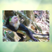 Autocollant Pour Fenêtre Pura vida pour singe capucin à tête blanche (Feuille 3)